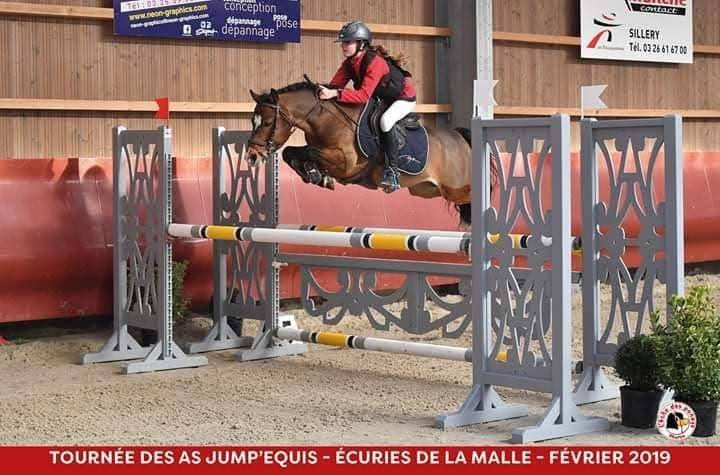 Potranca PFS Poni Fran&ccedil;&eacute;s de Silla En venta 2025 Alaz&aacute;n por Very star kerveyer