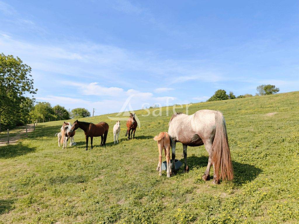 Propiedad rural En venta Tarn