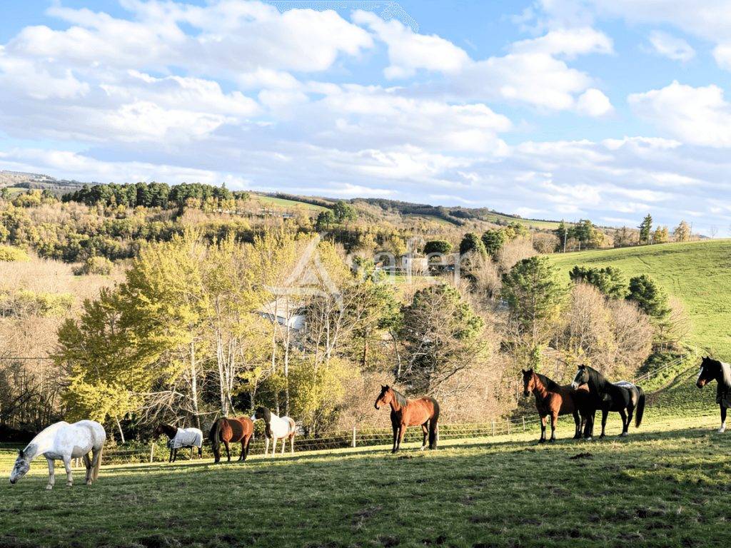 Propiedad rural En venta Tarn