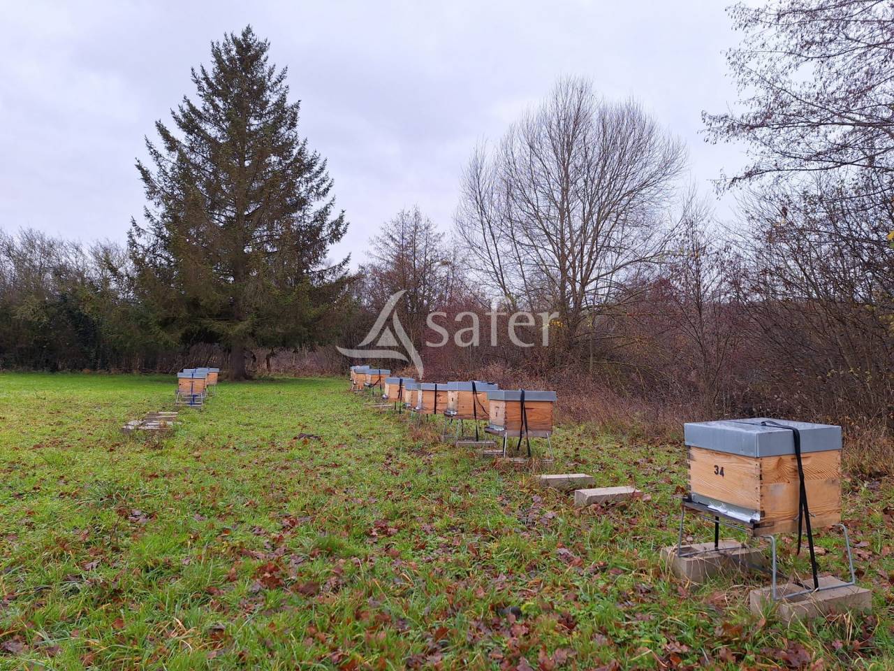Explotaci&oacute;n hortensa En venta Eure y Loir