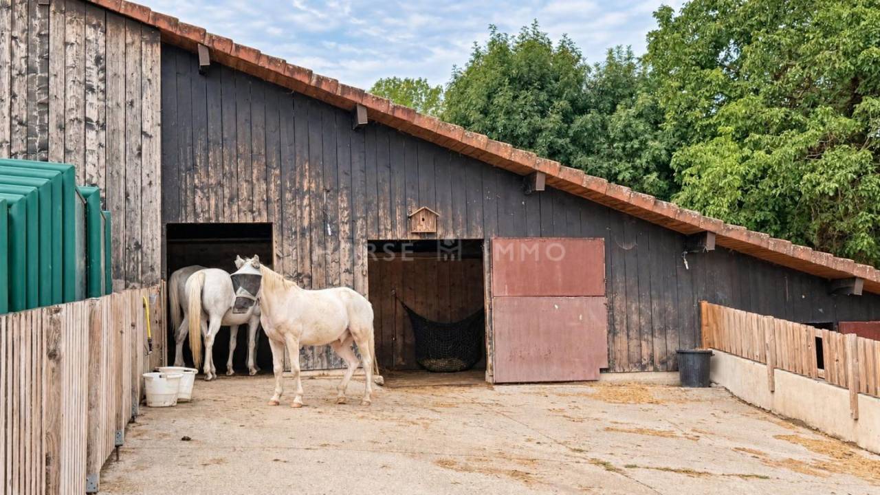 Propiedad ecuestre En venta Alta Saboya