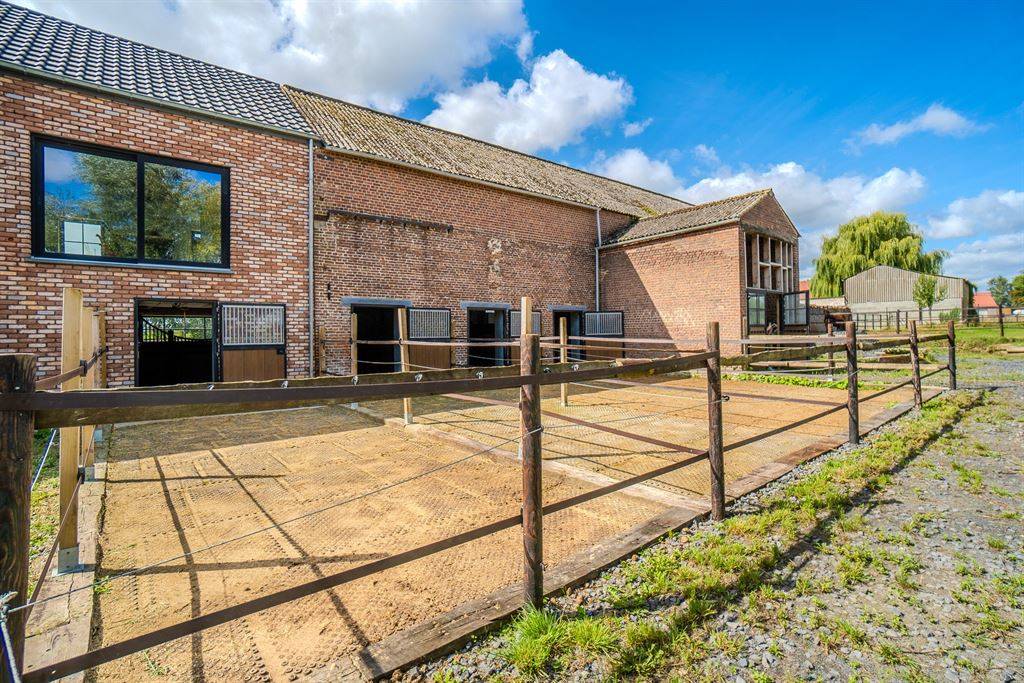 Propiedad ecuestre En venta Hainaut