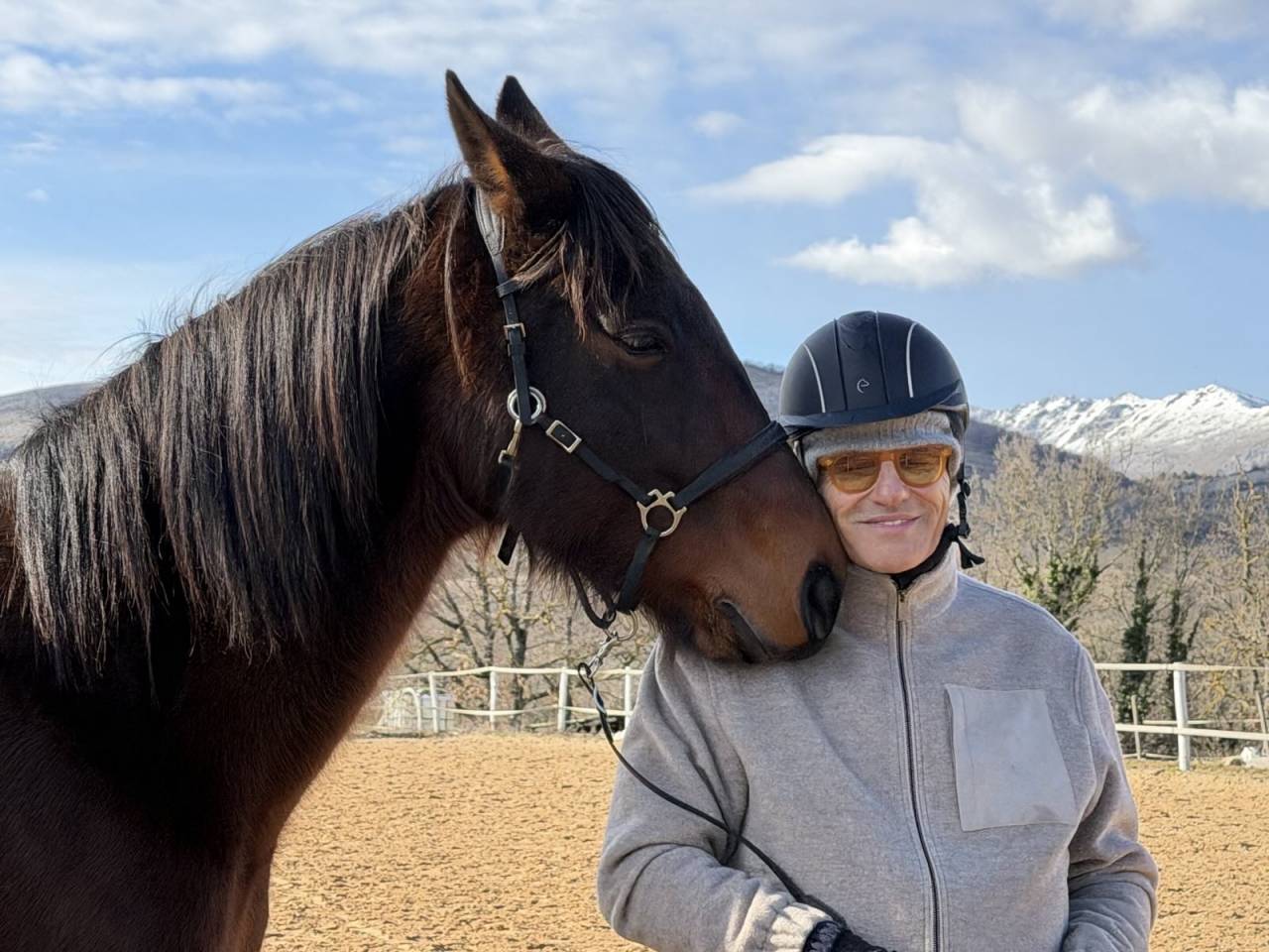 Caballo castrado Trot&oacute;n Franc&eacute;s En venta 2018 Bayo por Orlando Vici 