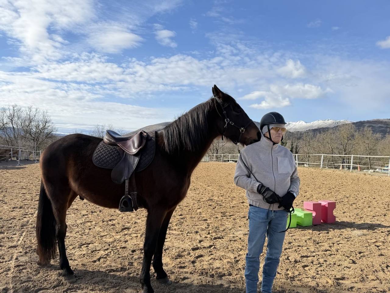 Caballo castrado Trot&oacute;n Franc&eacute;s En venta 2018 Bayo por Orlando Vici 