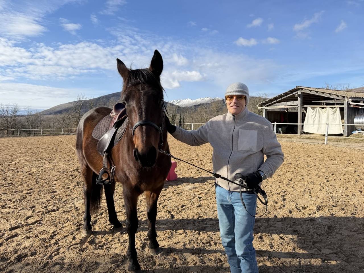 Caballo castrado Trot&oacute;n Franc&eacute;s En venta 2018 Bayo por Orlando Vici 