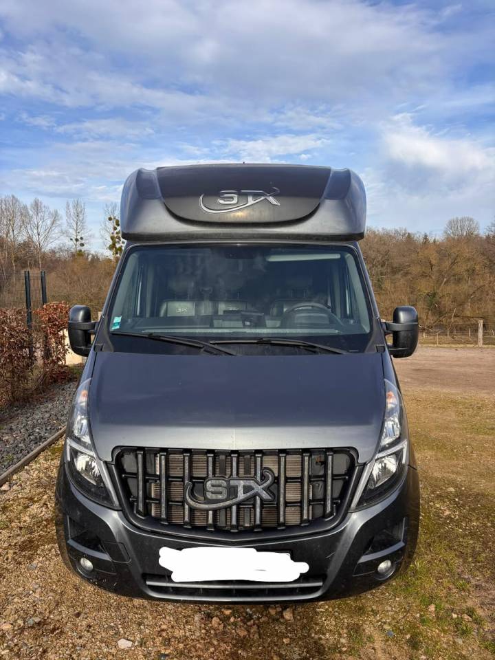 Furgoneta para caballos Opel Movano 2021 De segunda mano