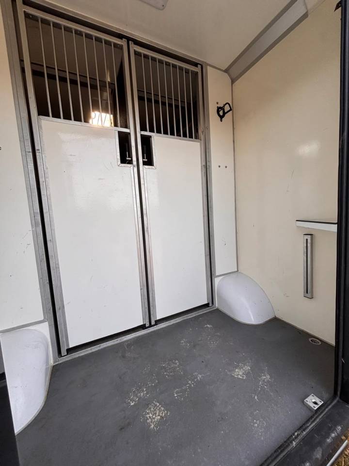 Furgoneta para caballos Opel Movano 2021 De segunda mano