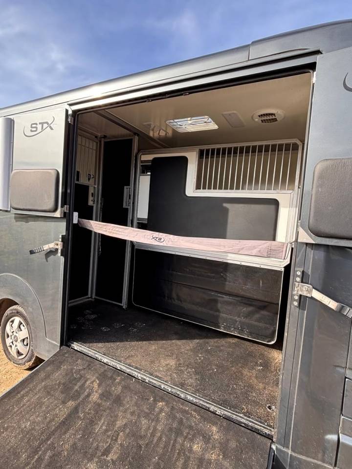 Furgoneta para caballos Opel Movano 2021 De segunda mano