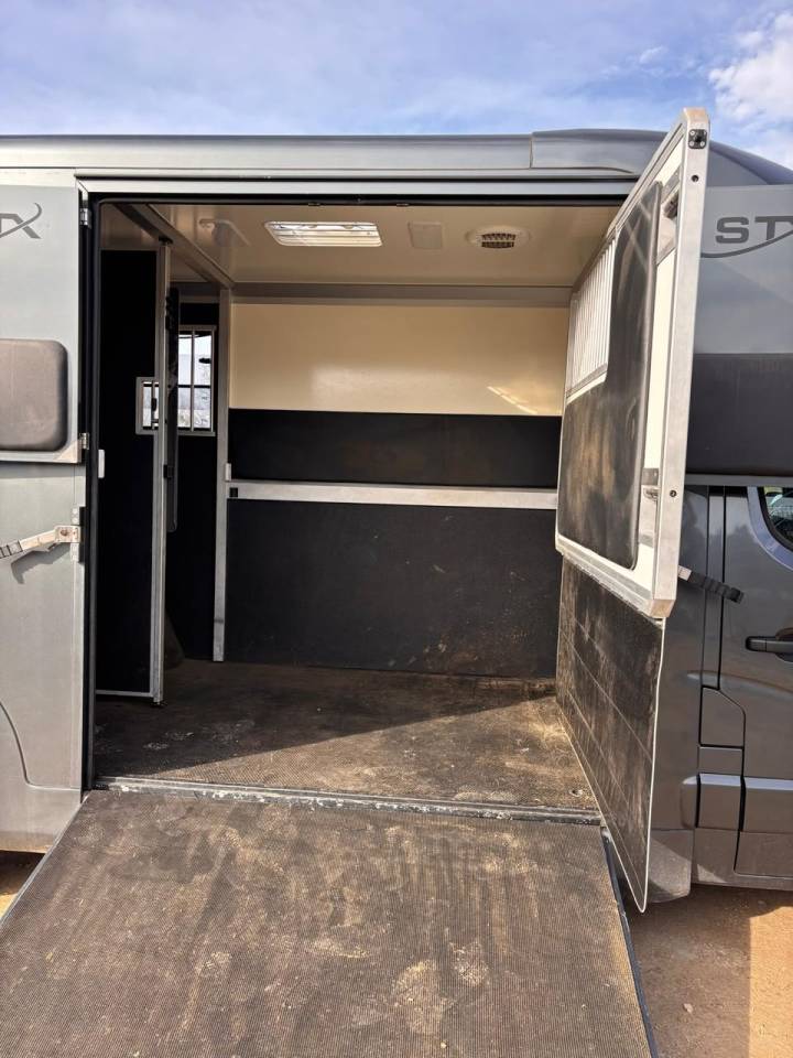 Furgoneta para caballos Opel Movano 2021 De segunda mano