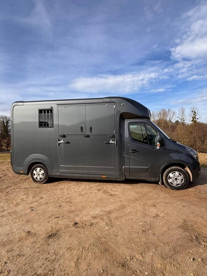 Furgoneta para caballos Opel Movano 2021 De segunda mano