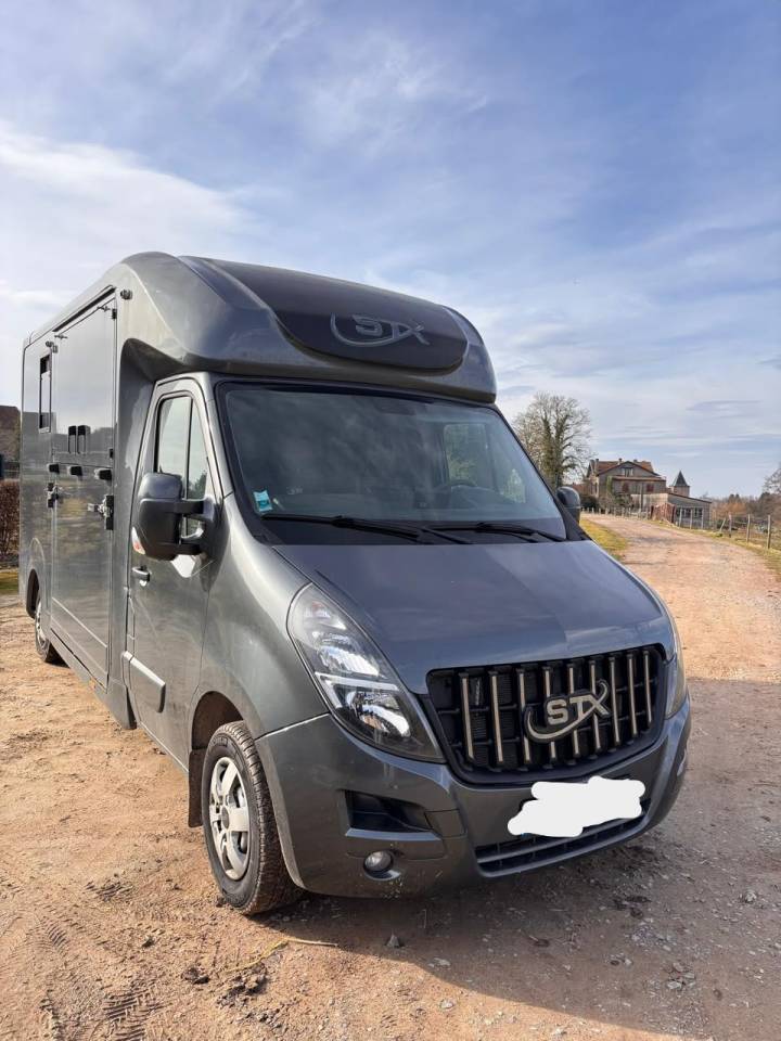 Furgoneta para caballos Opel Movano 2021 De segunda mano