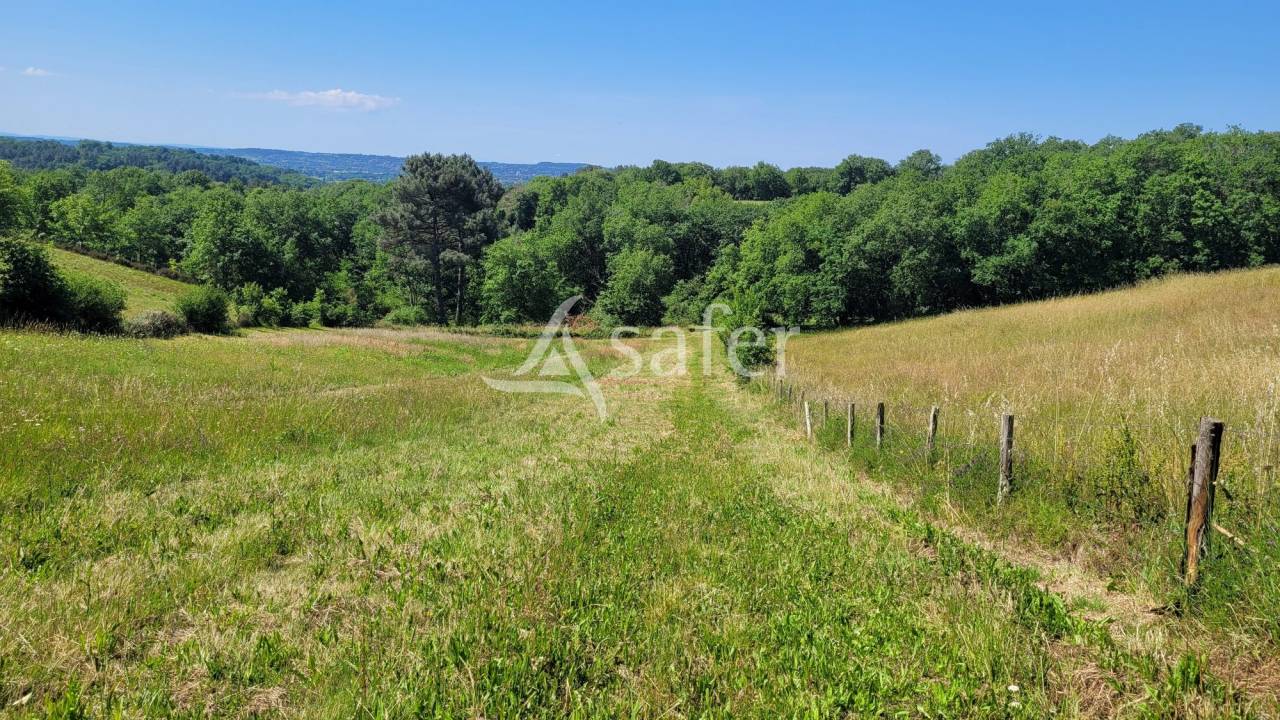 Propiedad rural En venta Tarn