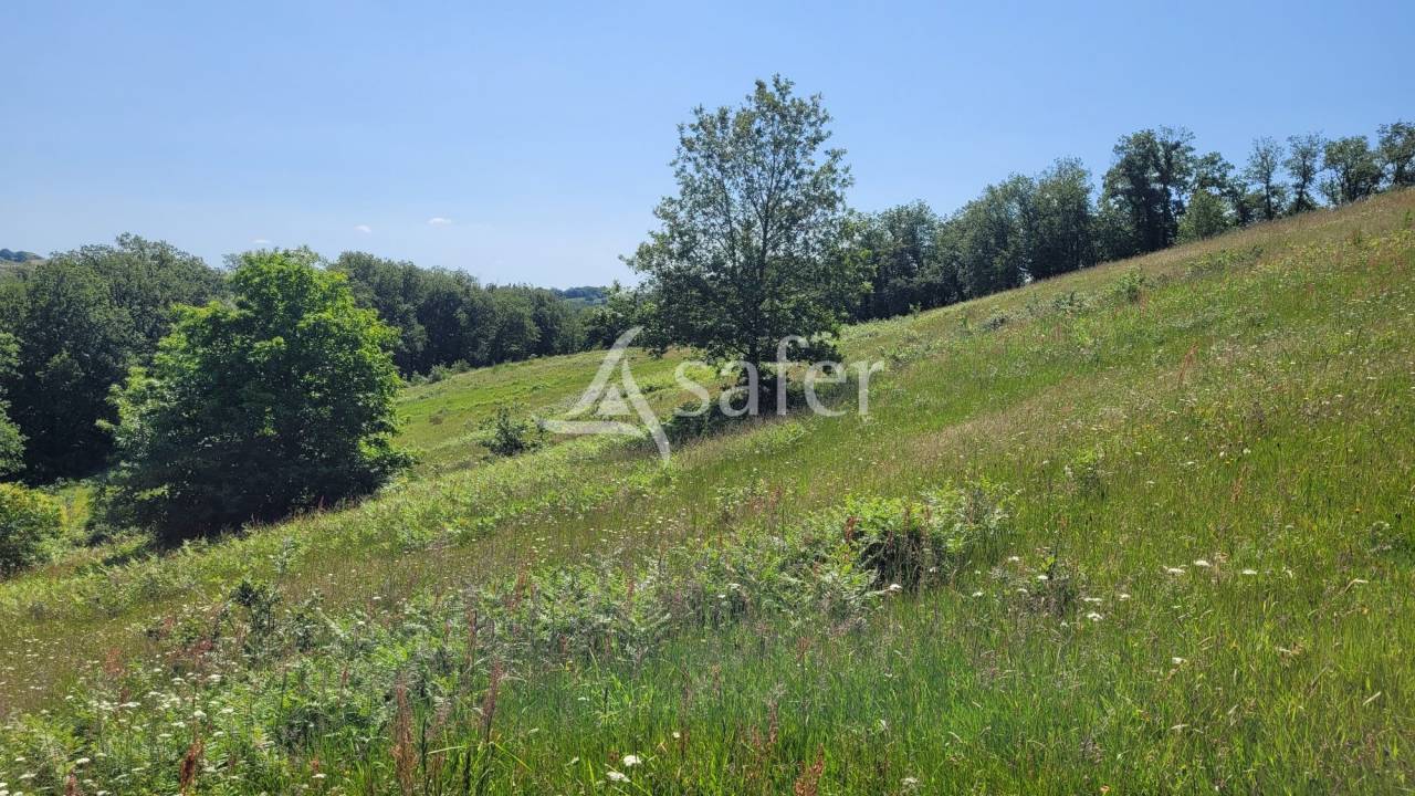 Propiedad rural En venta Tarn