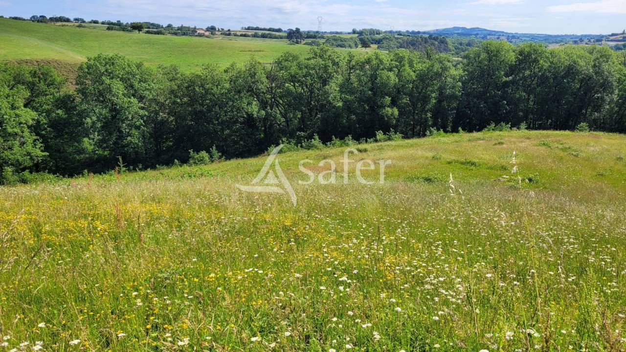Propiedad rural En venta Tarn