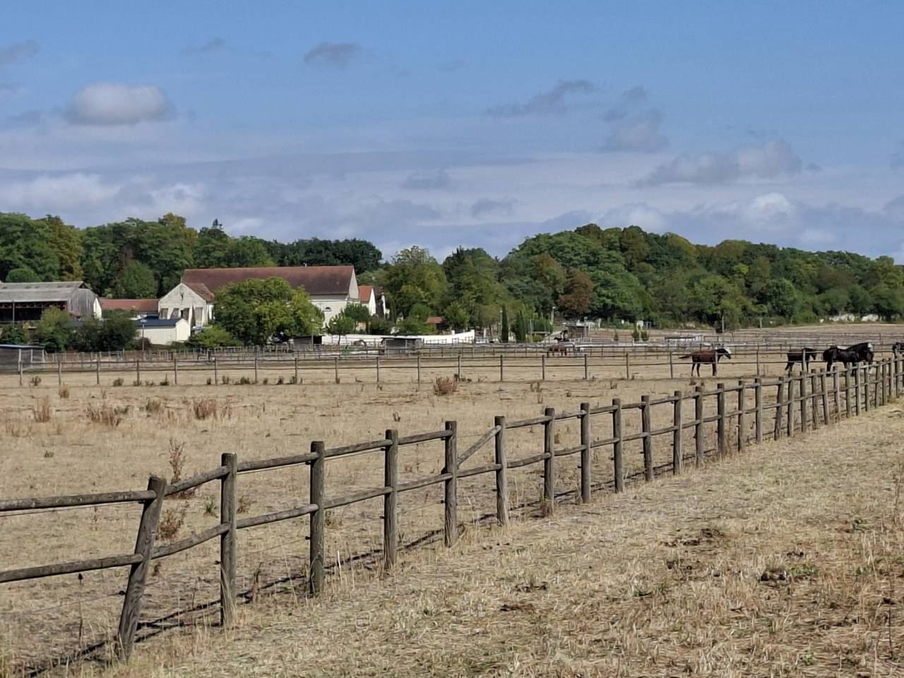 Cuadra de propietarios En venta Vienne