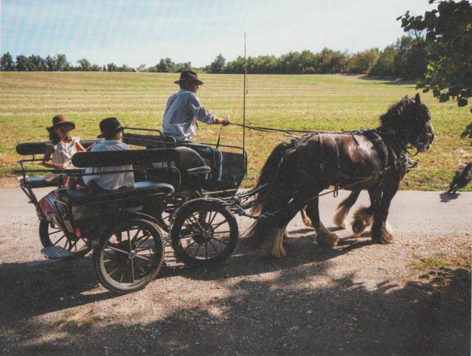 Coche enganches - Calesa   