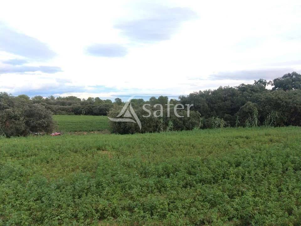 Propiedad rural En venta H&eacute;rault