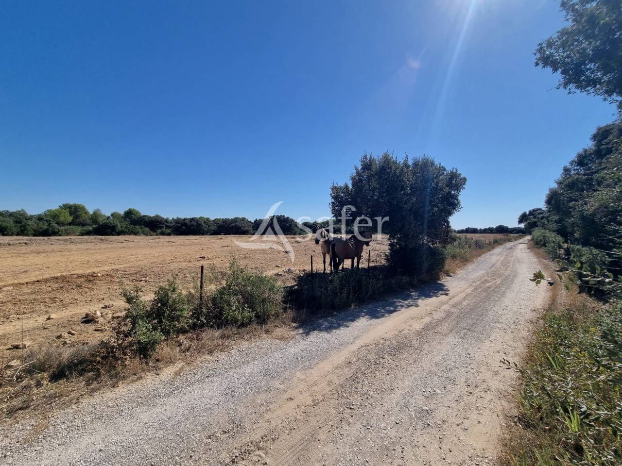 Propiedad rural En venta H&eacute;rault