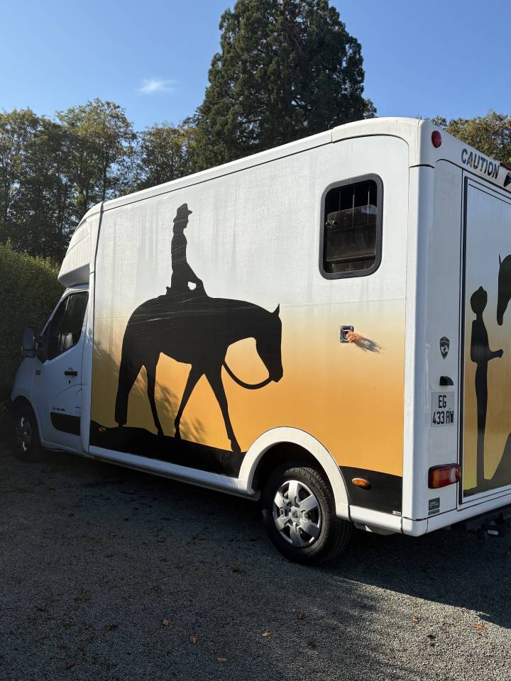 Furgoneta para caballos Paragan Equistro  2016 De segunda mano