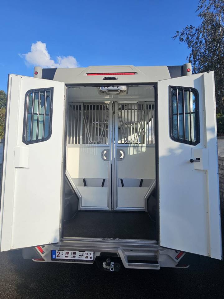 Furgoneta para caballos Theault Switch 2021 De segunda mano