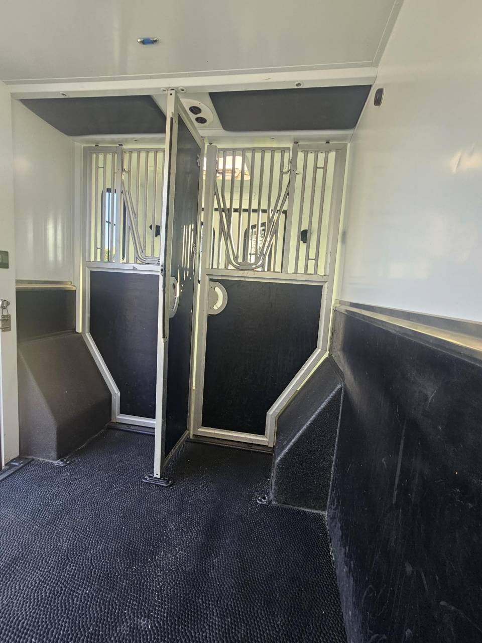 Furgoneta para caballos Theault Switch 2021 De segunda mano