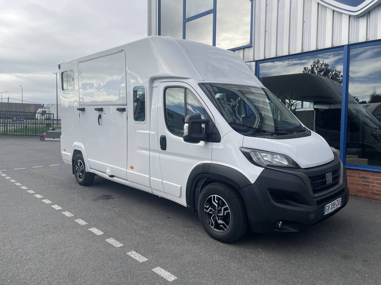 Furgoneta para caballos Barbot Ducato 2024 De segunda mano