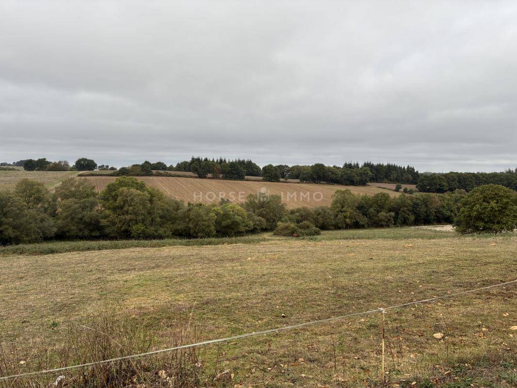 Propiedad ecuestre En venta Morbihan