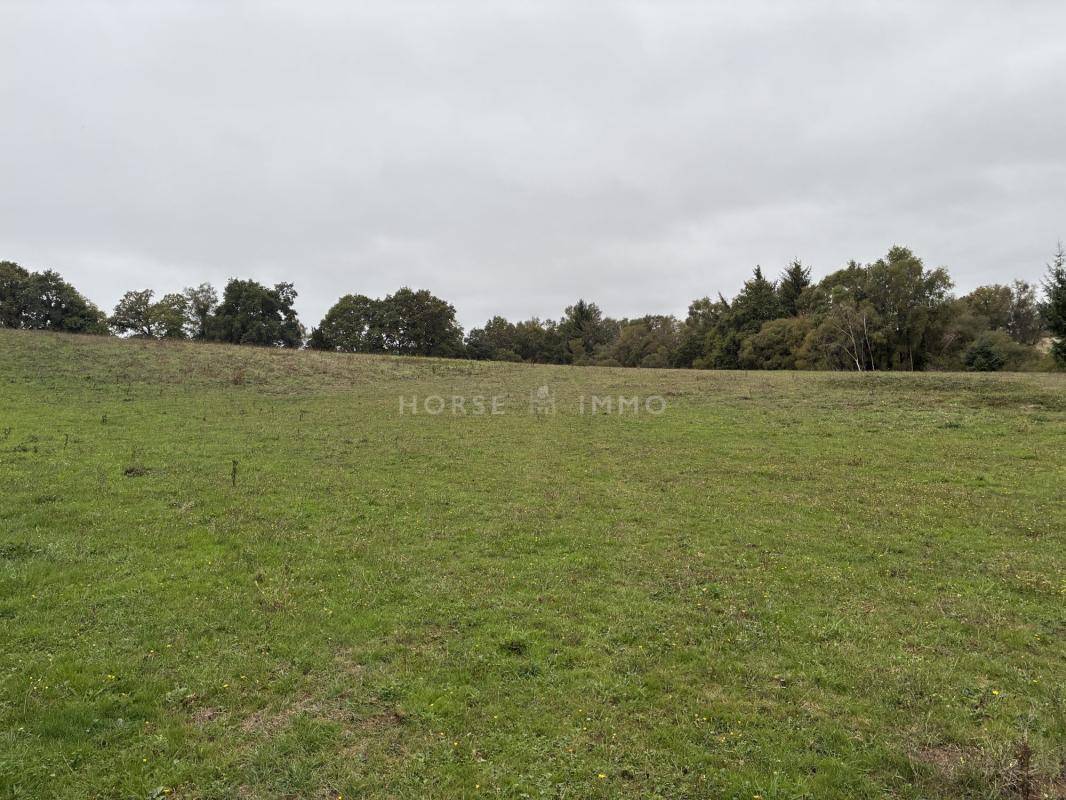 Propiedad ecuestre En venta Morbihan