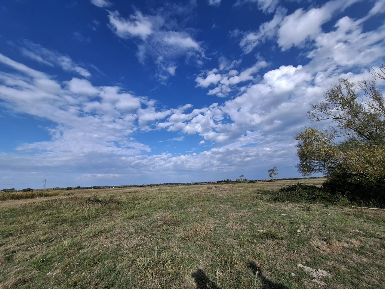 Albergue ecuestre En venta Vend&eacute;e
