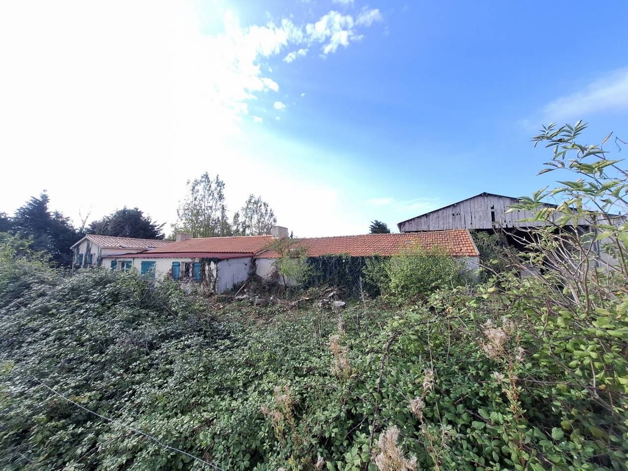 Albergue ecuestre En venta Vend&eacute;e