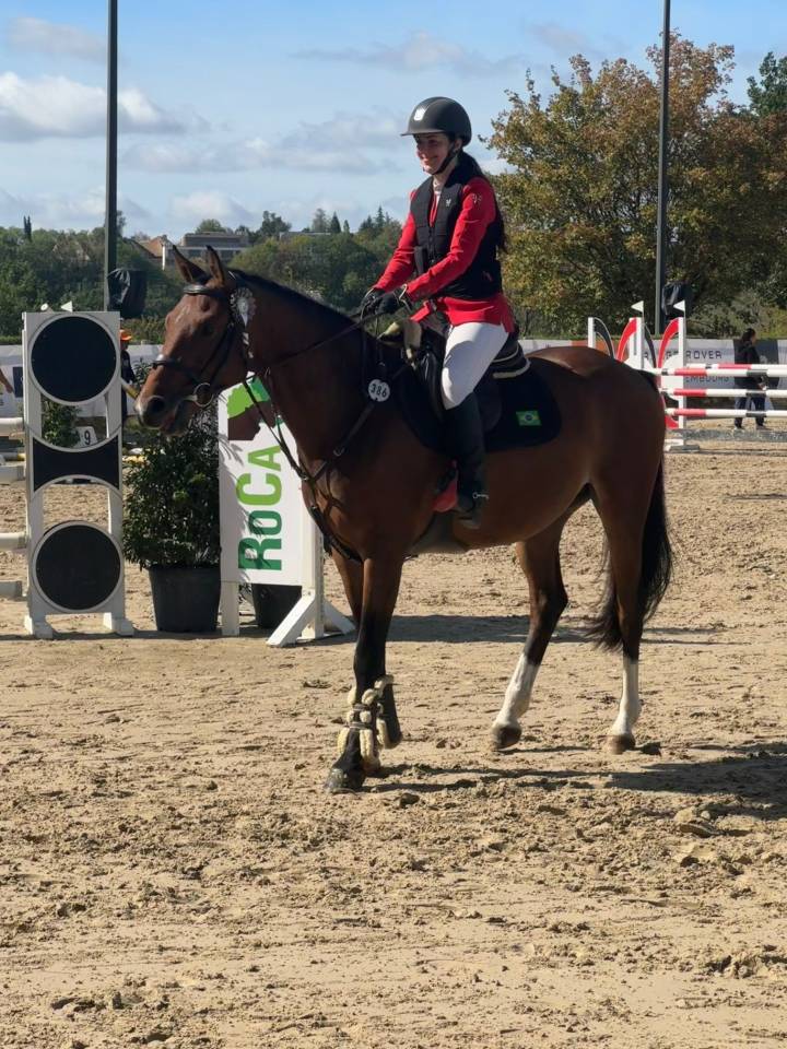 Caballo castrado Hannoveriano En venta 2022 Bayo por Cornet's Prinz