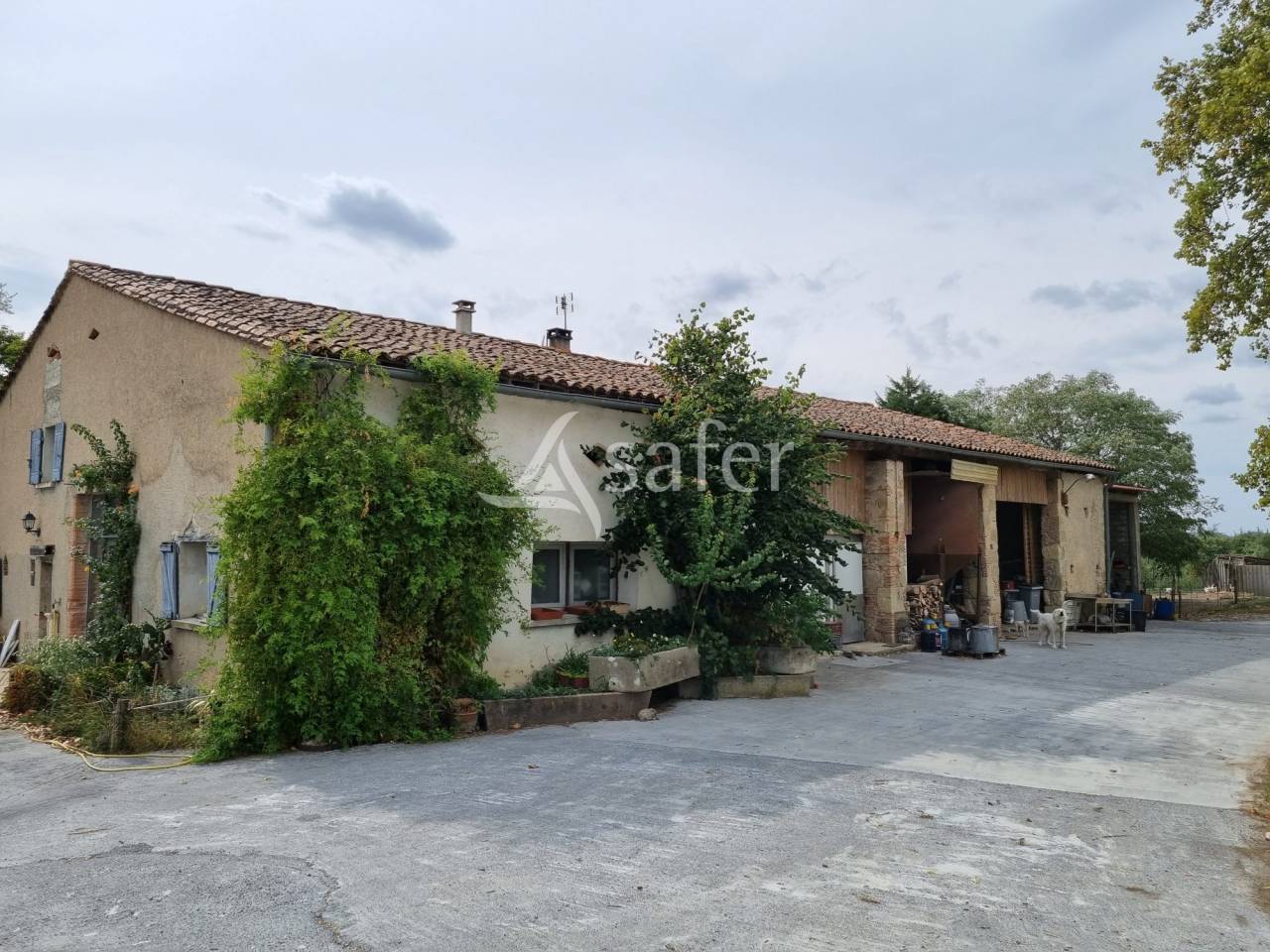 Explotaci&oacute;n cerealista En venta Tarn