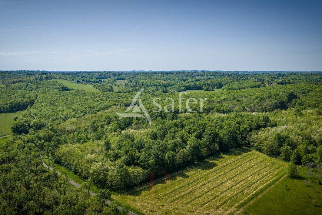 Propiedad rural En venta Dordo&ntilde;a