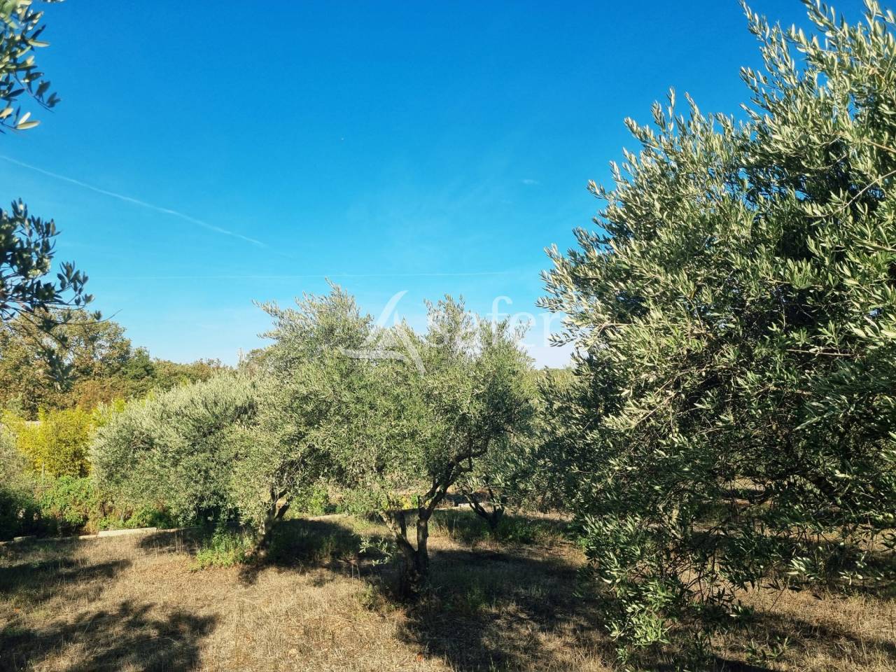 Explotaci&oacute;n agr&iacute;cola En venta Gard