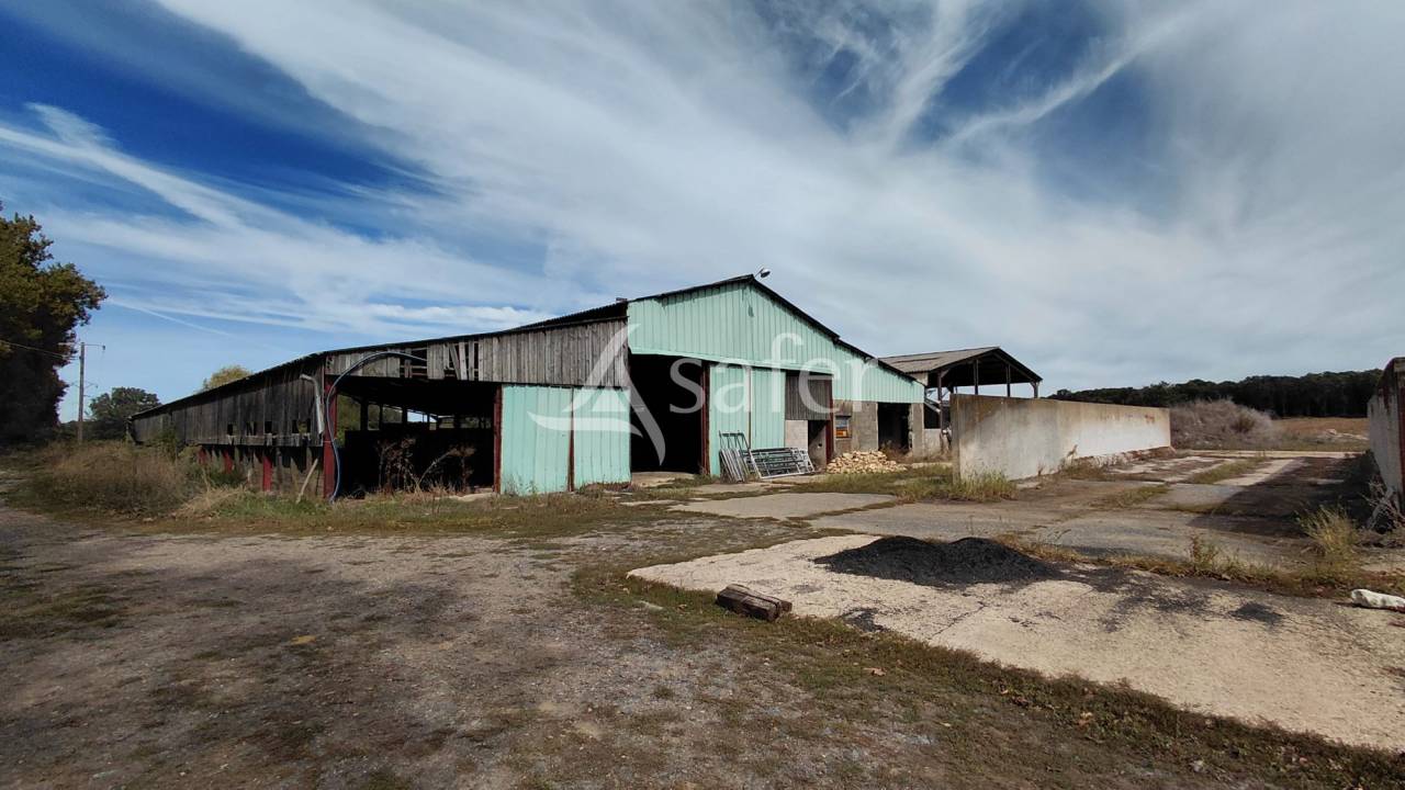 Explotaci&oacute;n ovina En venta Vienne