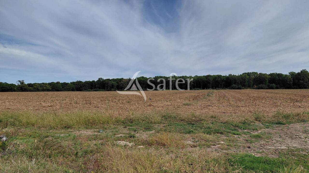 Explotaci&oacute;n ovina En venta Vienne