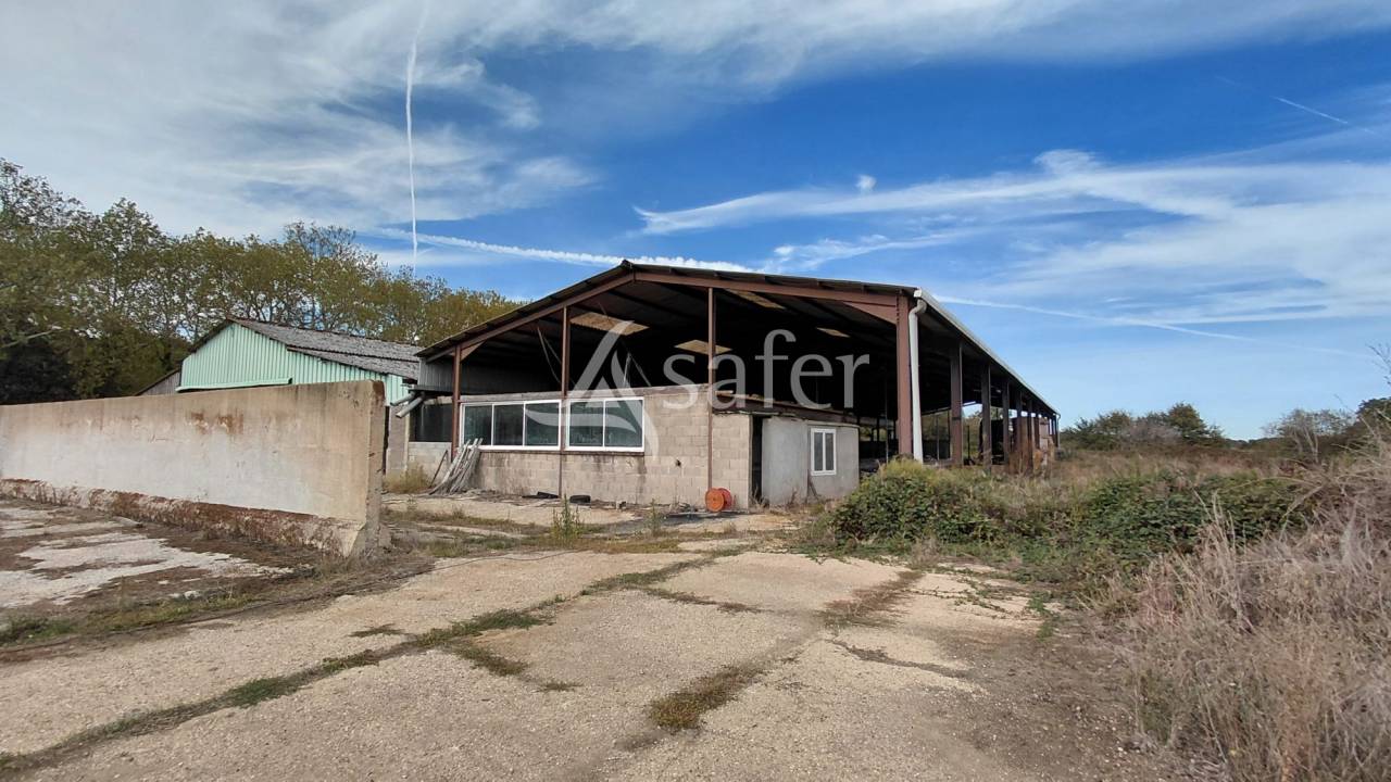 Explotaci&oacute;n ovina En venta Vienne
