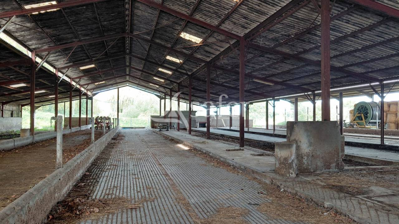 Explotaci&oacute;n ovina En venta Vienne