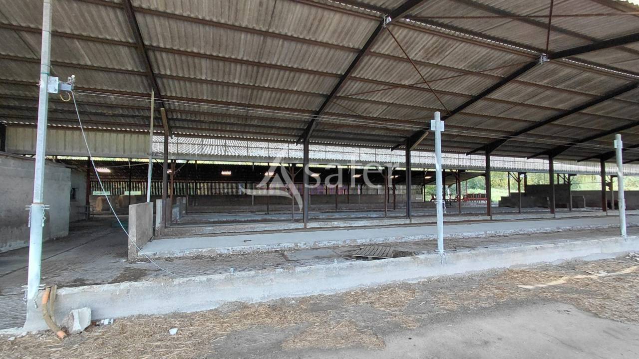 Explotaci&oacute;n ovina En venta Vienne