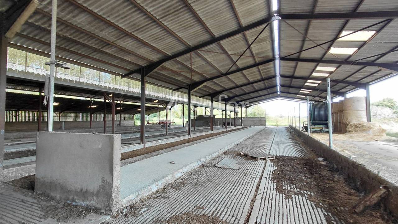 Explotaci&oacute;n ovina En venta Vienne