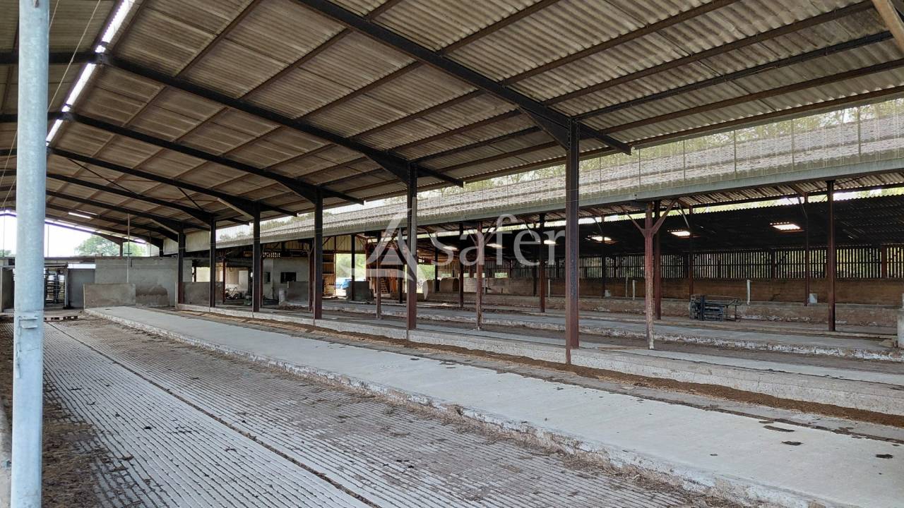 Explotaci&oacute;n ovina En venta Vienne