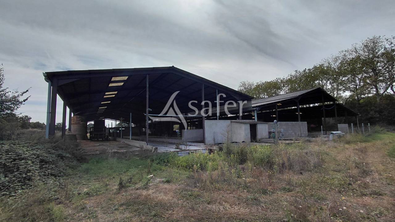 Explotaci&oacute;n ovina En venta Vienne