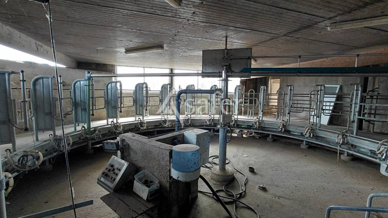 Explotaci&oacute;n ovina En venta Vienne