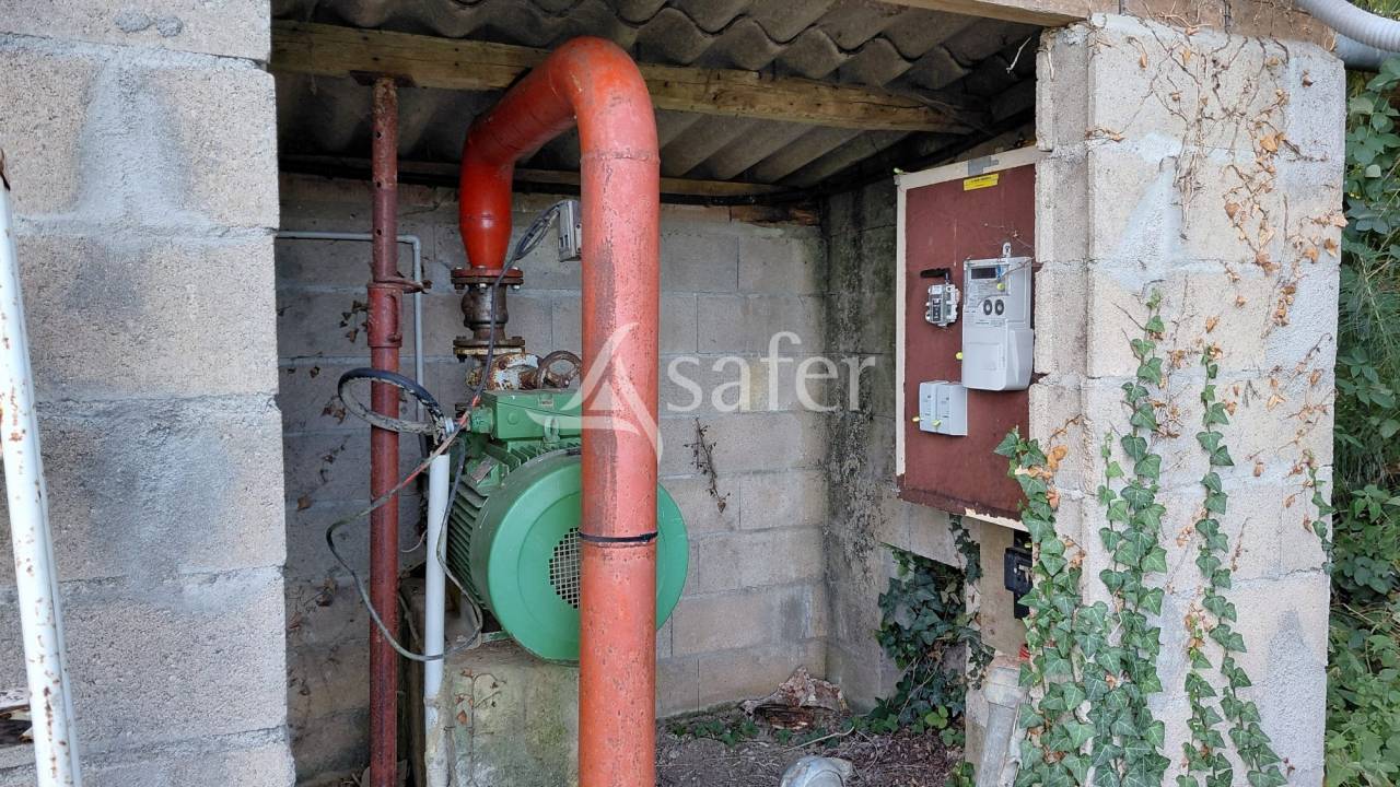 Explotaci&oacute;n ovina En venta Vienne