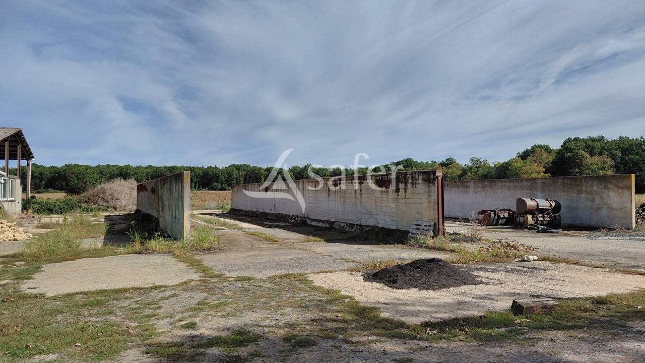 Explotaci&oacute;n ovina En venta Vienne
