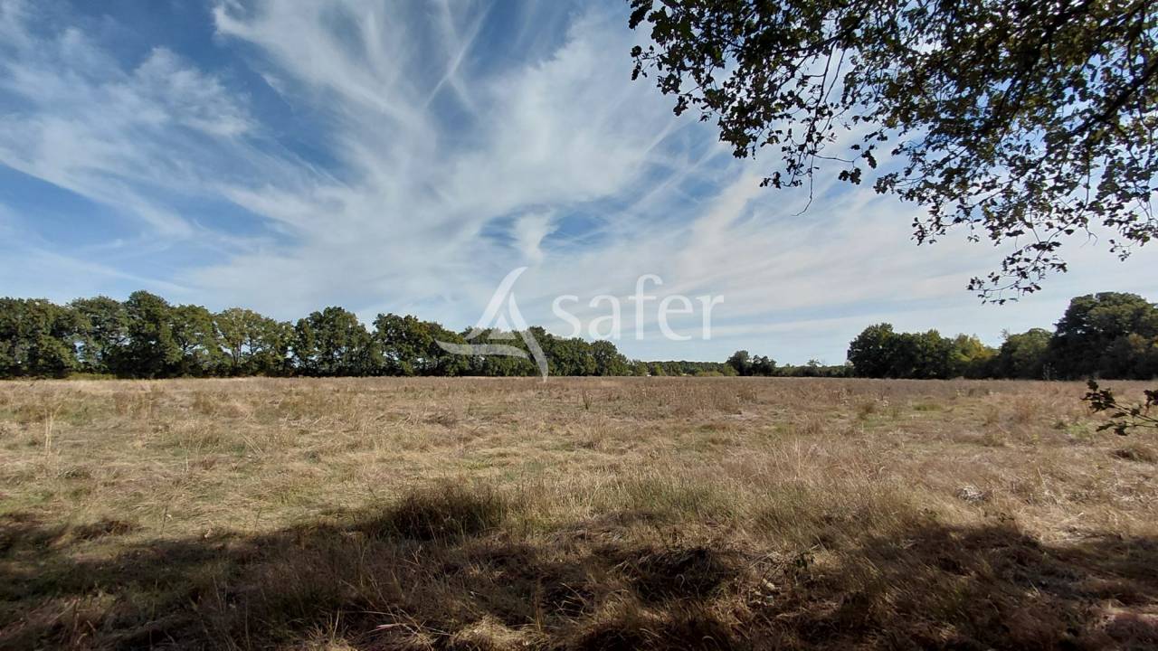 Explotaci&oacute;n agr&iacute;cola En venta Vienne
