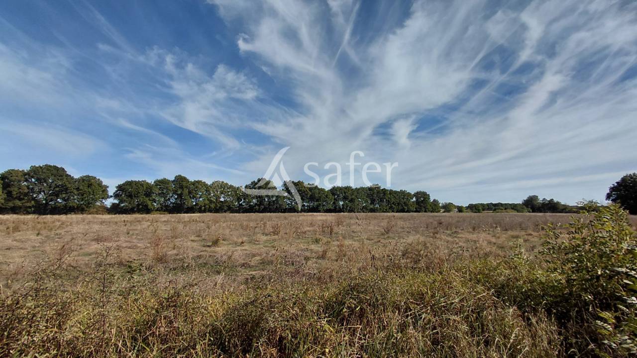 Explotaci&oacute;n agr&iacute;cola En venta Vienne