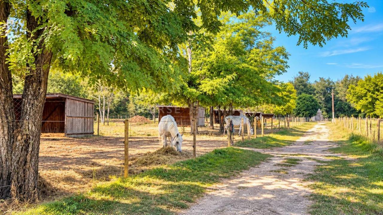 Propiedad ecuestre En venta Vaucluse
