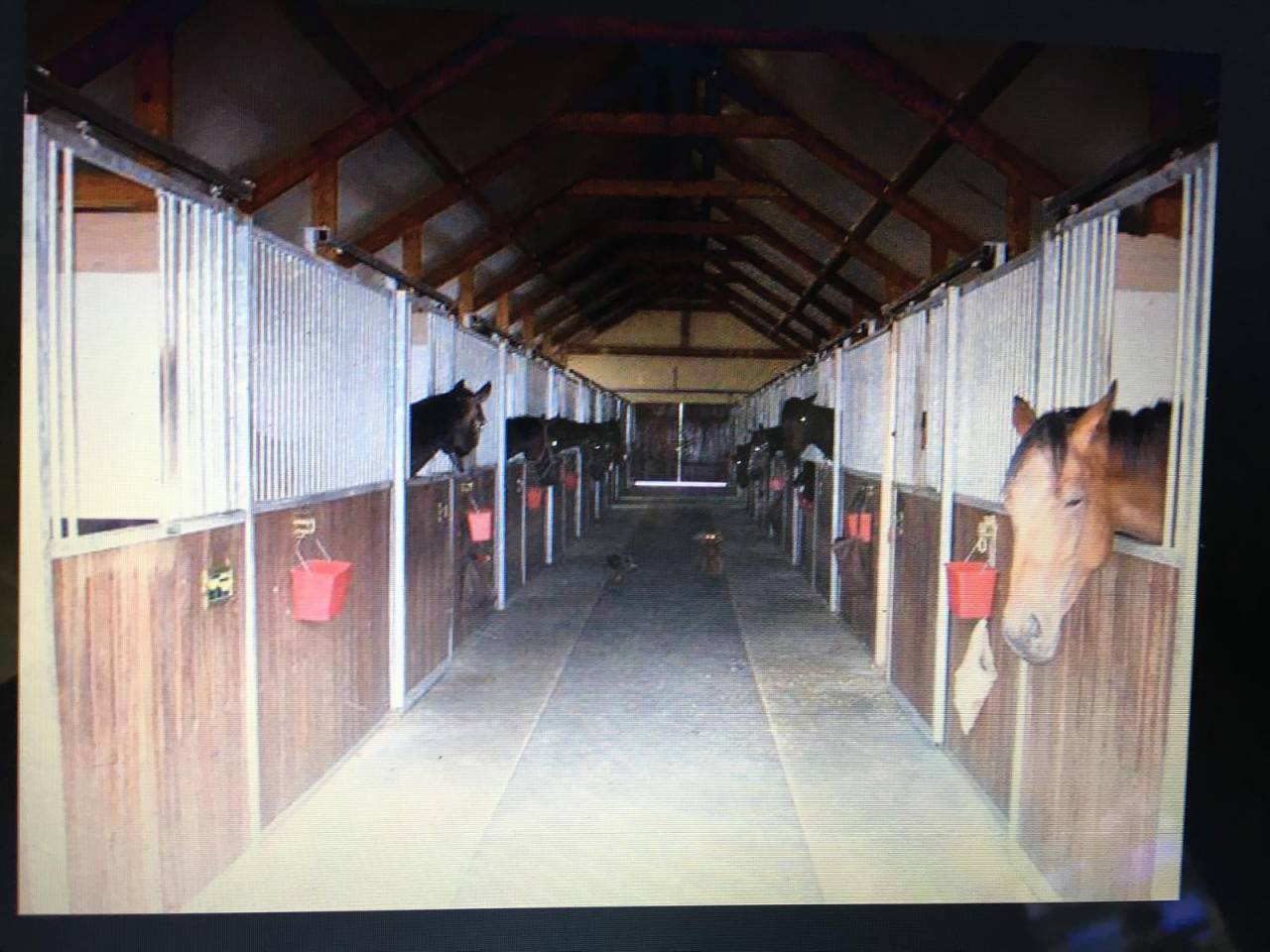 Cuadra de carrera En venta Oise