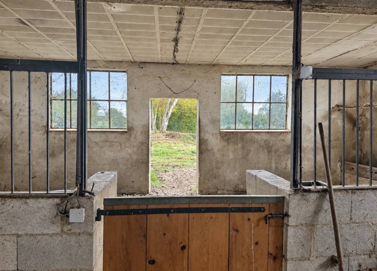 Propiedad ecuestre En venta Ain